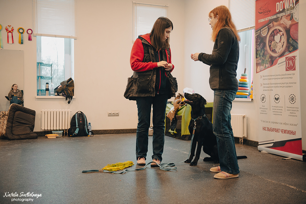 Семинар с Марией Рыбкиной «Игры с собаками» (24.02.2023). Фотограф-анималист Наталья Светличная