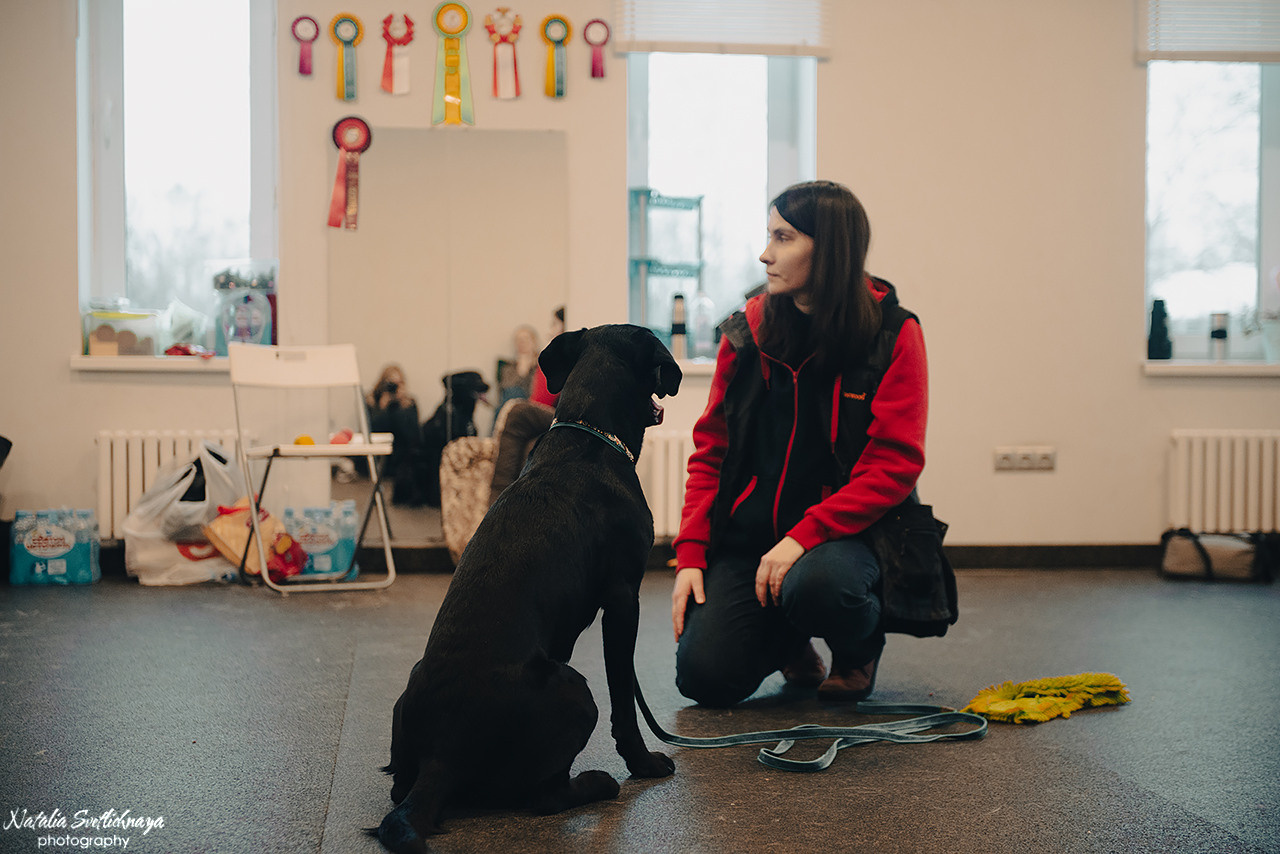 Семинар с Марией Рыбкиной «Игры с собаками» (24.02.2023). Фотограф-анималист Наталья Светличная