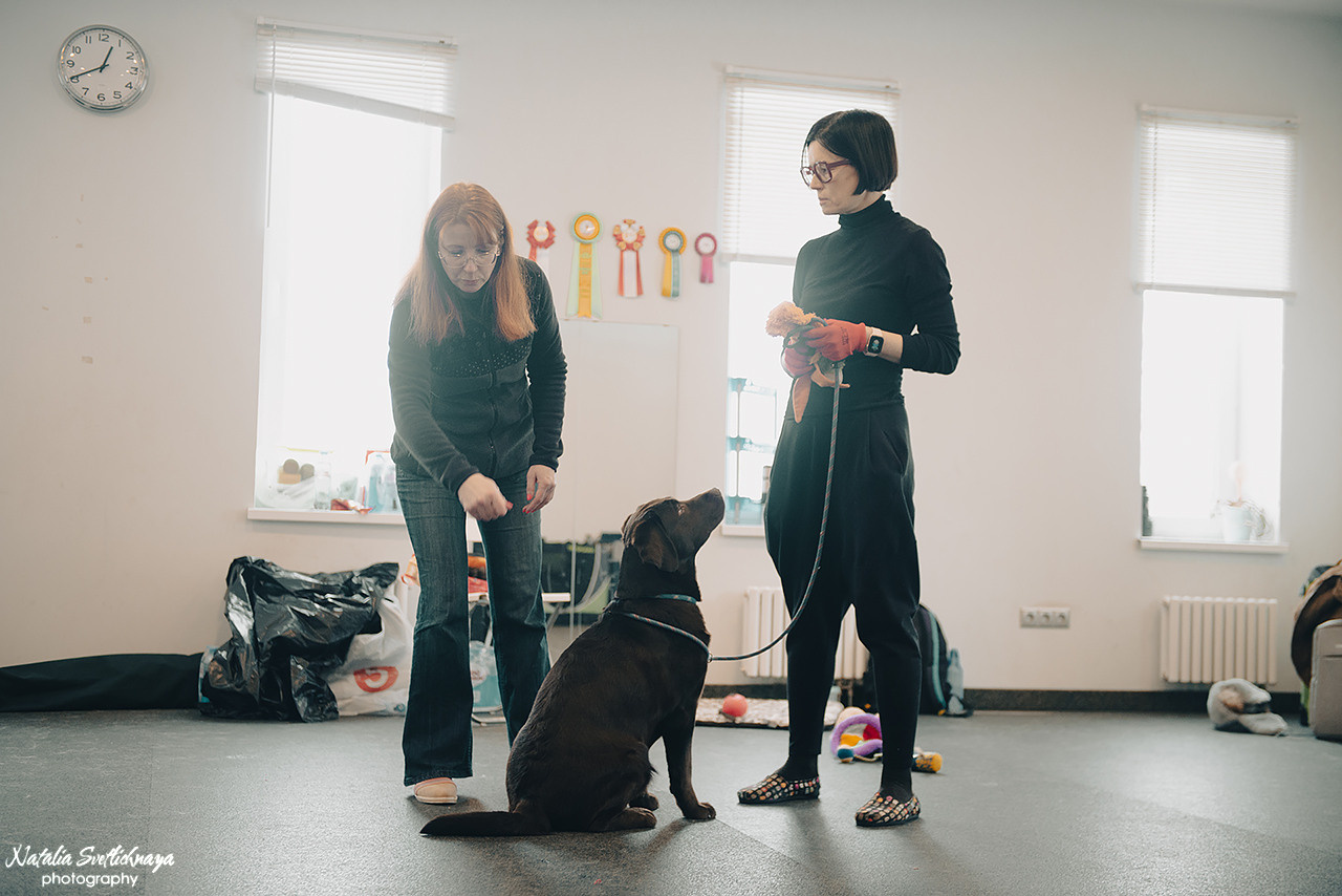 Семинар с Марией Рыбкиной «Игры с собаками» (24.02.2023). Фотограф-анималист Наталья Светличная