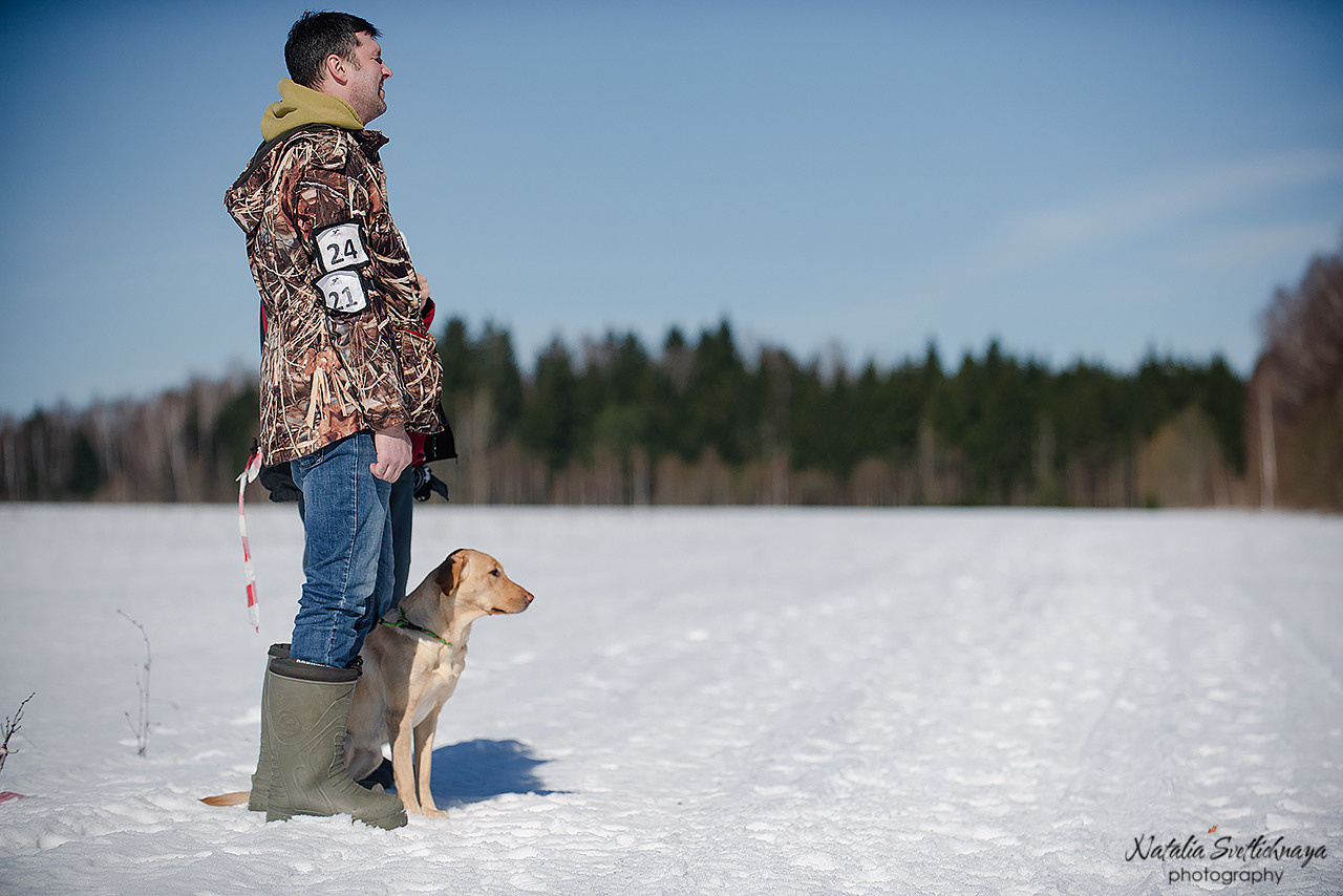 Тренировочный воркинг тест Школы Шмеля 18 марта 2023. Фотограф-анималист Наталья Светличная