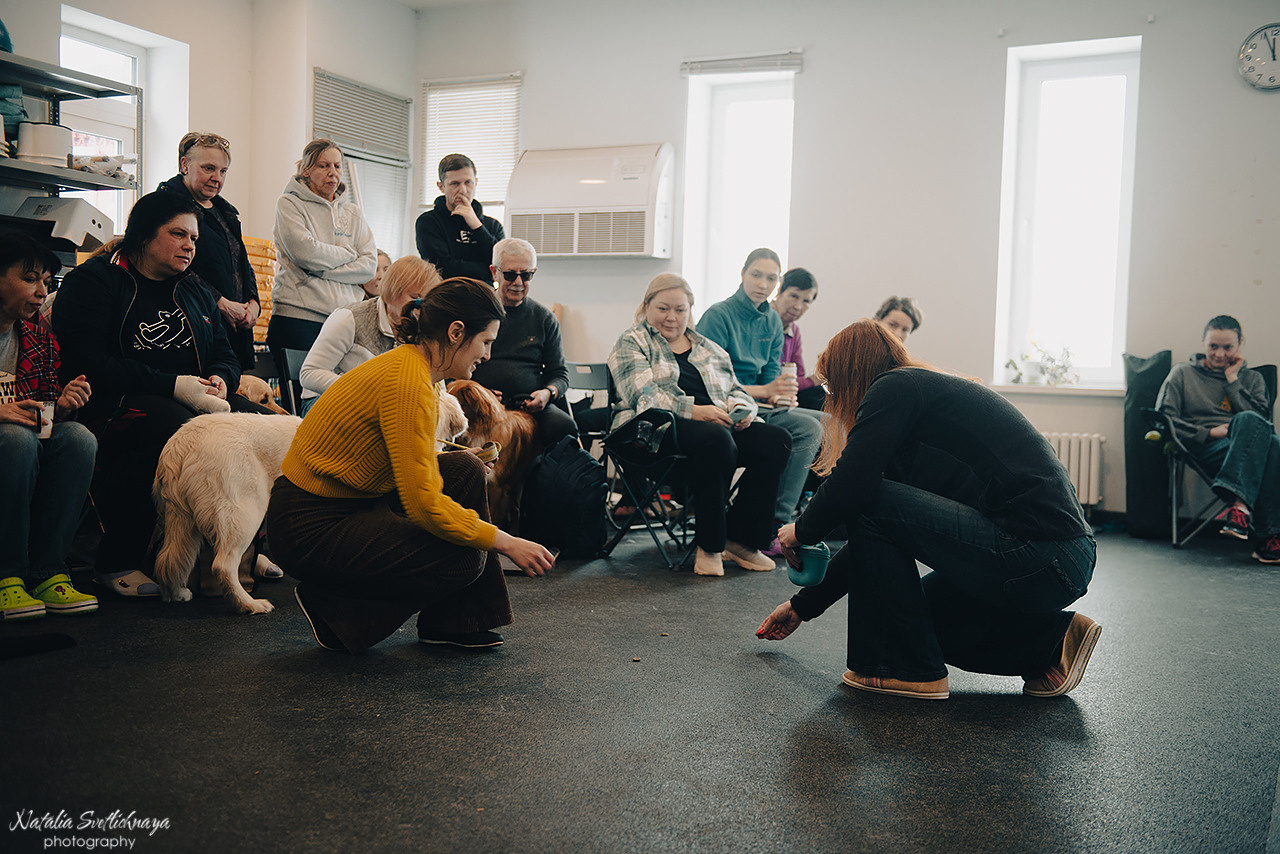 Семинар с Марией Рыбкиной «Игры с собаками» (24.02.2023). Фотограф-анималист Наталья Светличная