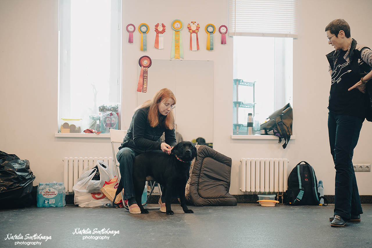 Семинар с Марией Рыбкиной «Игры с собаками» (24.02.2023). Фотограф-анималист Наталья Светличная