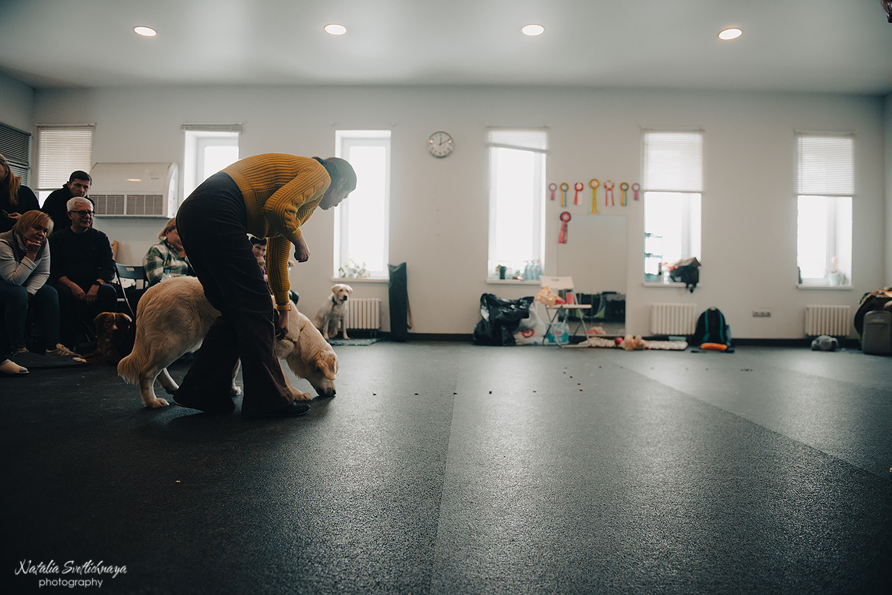 Семинар с Марией Рыбкиной «Игры с собаками» (24.02.2023). Фотограф-анималист Наталья Светличная