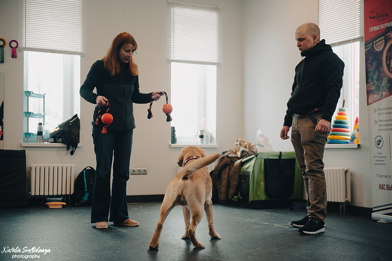 Семинар с Марией Рыбкиной «Игры с собаками» (24.02.2023). Фотограф-анималист Наталья Светличная