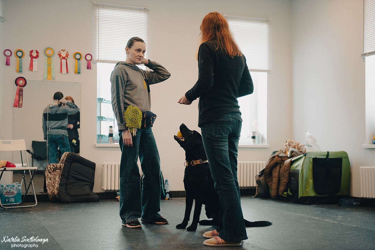 Семинар с Марией Рыбкиной «Игры с собаками» (24.02.2023). Фотограф-анималист Наталья Светличная