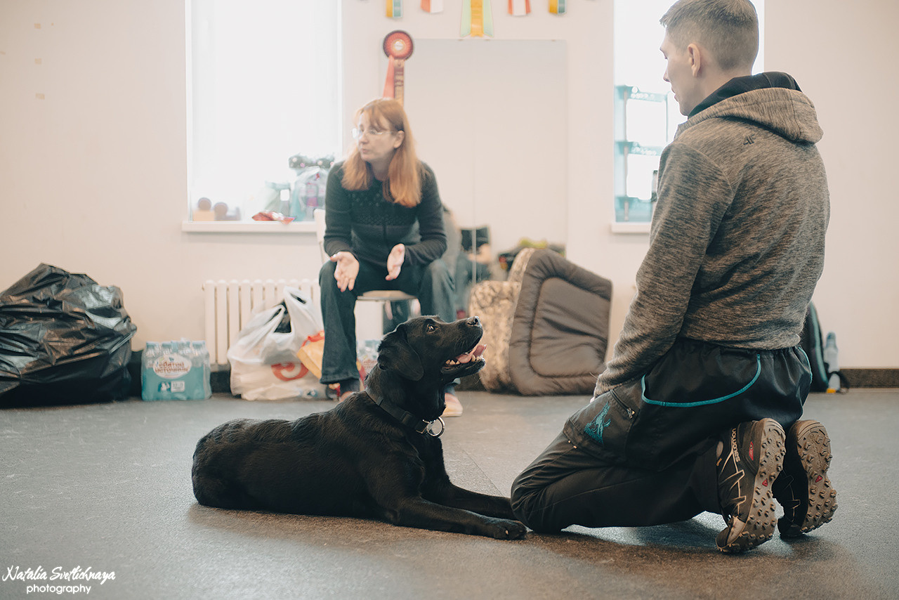 Семинар с Марией Рыбкиной «Игры с собаками» (24.02.2023). Фотограф-анималист Наталья Светличная
