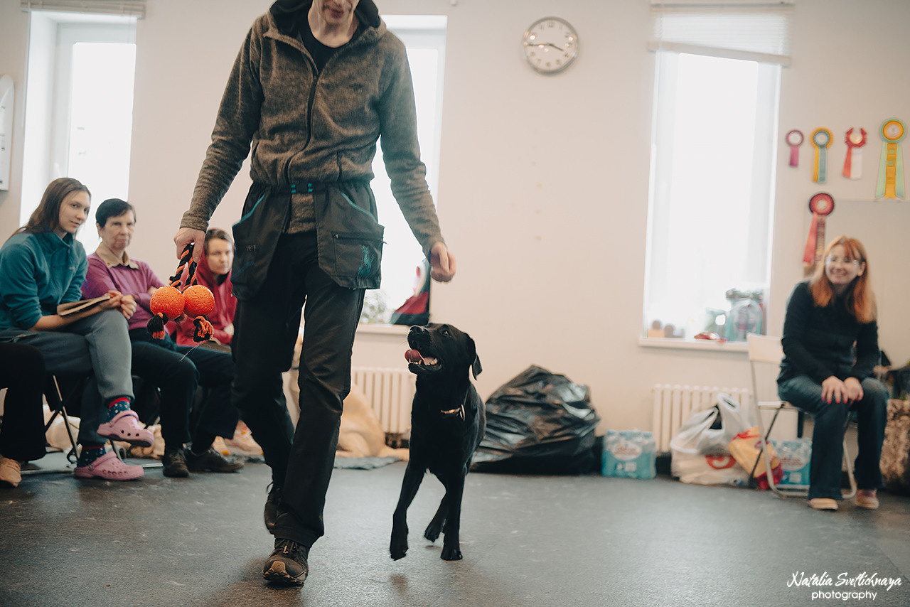 Семинар с Марией Рыбкиной «Игры с собаками» (24.02.2023). Фотограф-анималист Наталья Светличная