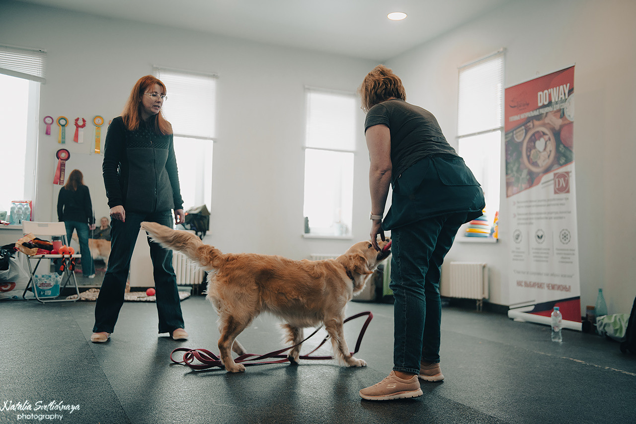 Семинар с Марией Рыбкиной «Игры с собаками» (24.02.2023). Фотограф-анималист Наталья Светличная
