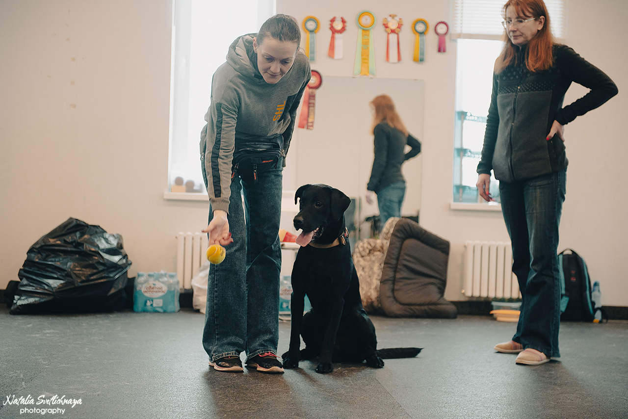 Семинар с Марией Рыбкиной «Игры с собаками» (24.02.2023). Фотограф-анималист Наталья Светличная