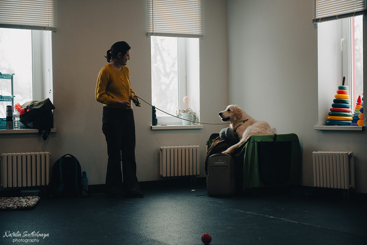 Семинар с Марией Рыбкиной «Игры с собаками» (24.02.2023). Фотограф-анималист Наталья Светличная