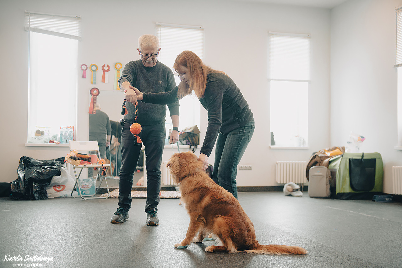 Семинар с Марией Рыбкиной «Игры с собаками» (24.02.2023). Фотограф-анималист Наталья Светличная