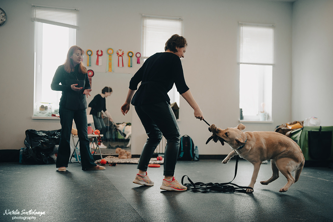 Семинар с Марией Рыбкиной «Игры с собаками» (24.02.2023). Фотограф-анималист Наталья Светличная