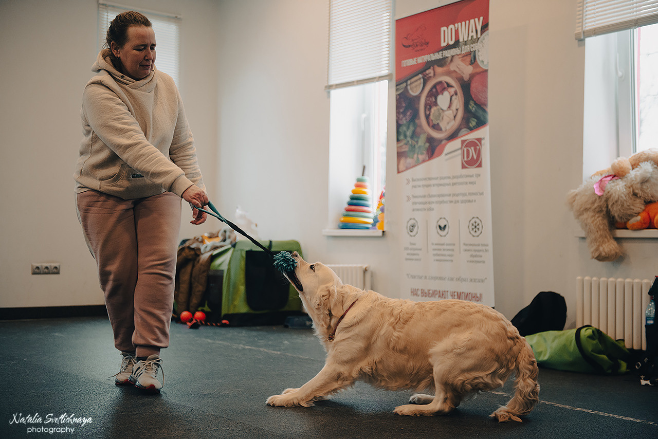 Семинар с Марией Рыбкиной «Игры с собаками» (24.02.2023). Фотограф-анималист Наталья Светличная