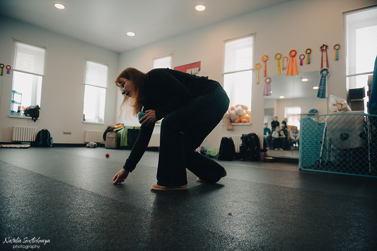Семинар с Марией Рыбкиной «Игры с собаками» (24.02.2023). Фотограф-анималист Наталья Светличная