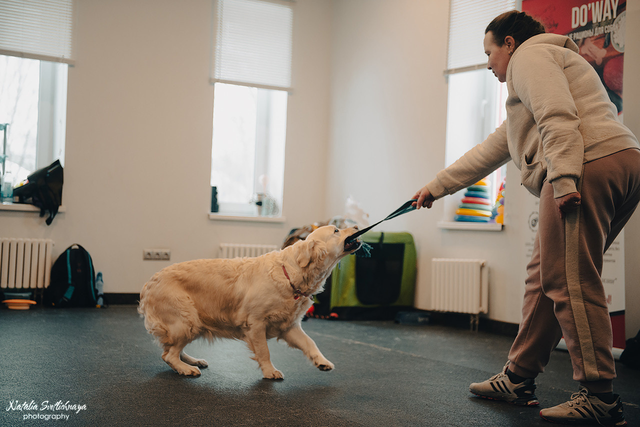Семинар с Марией Рыбкиной «Игры с собаками» (24.02.2023). Фотограф-анималист Наталья Светличная