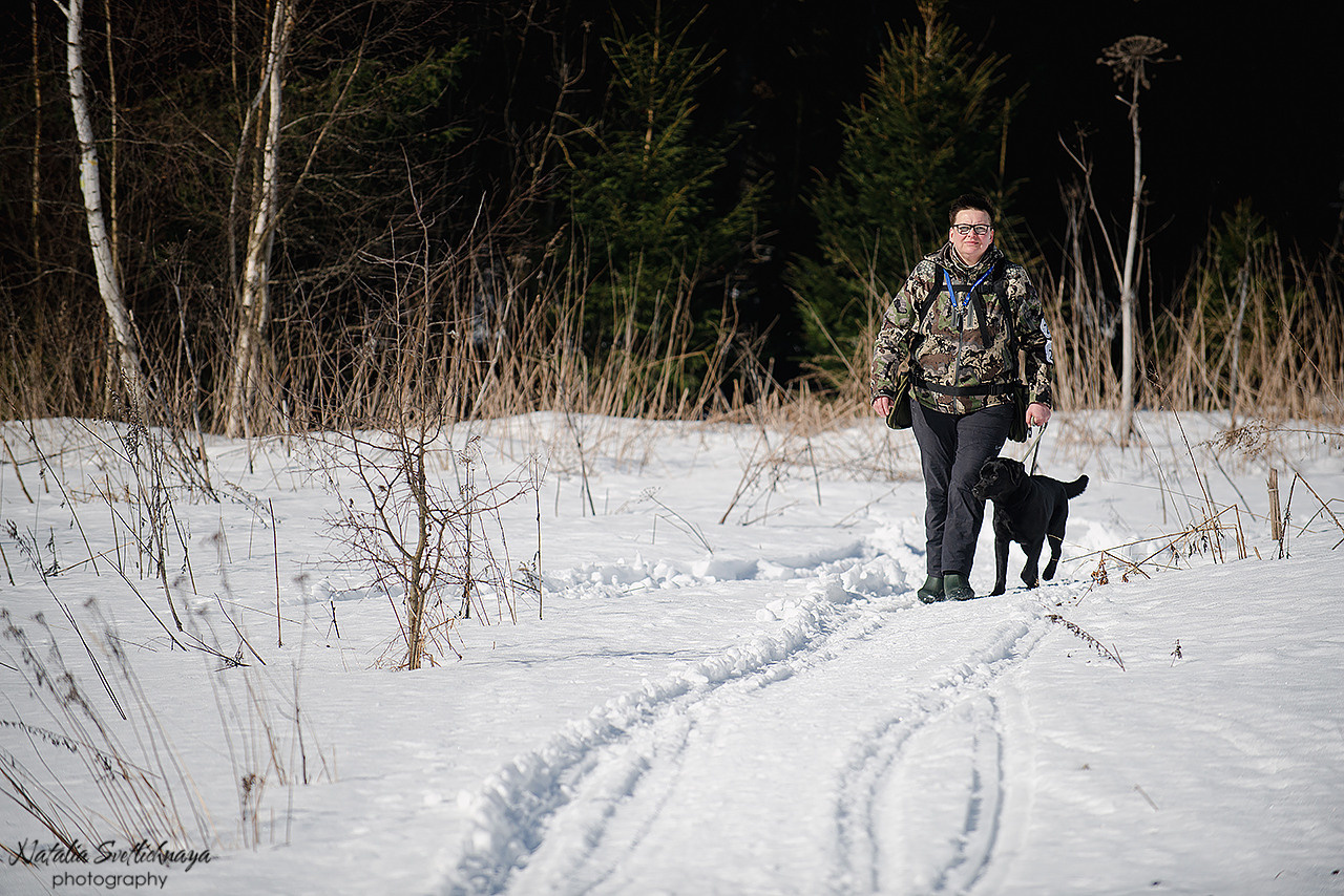 Тренировочный воркинг тест Школы Шмеля 18 марта 2023. Фотограф-анималист Наталья Светличная