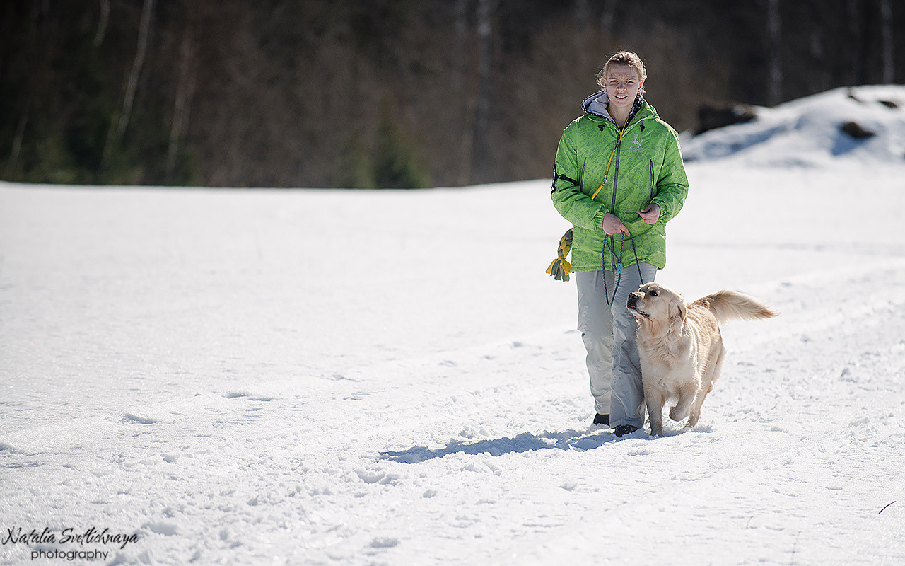 Тренировочный воркинг тест Школы Шмеля 18 марта 2023. Фотограф-анималист Наталья Светличная