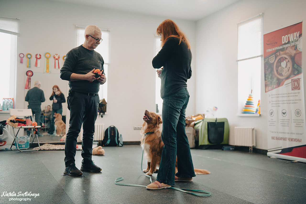 Семинар с Марией Рыбкиной «Игры с собаками» (24.02.2023). Фотограф-анималист Наталья Светличная