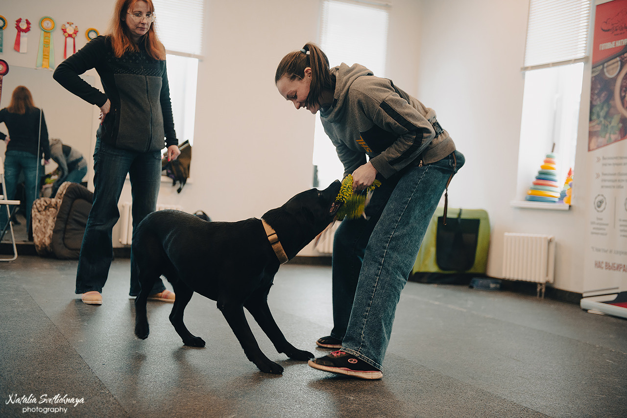 Семинар с Марией Рыбкиной «Игры с собаками» (24.02.2023). Фотограф-анималист Наталья Светличная