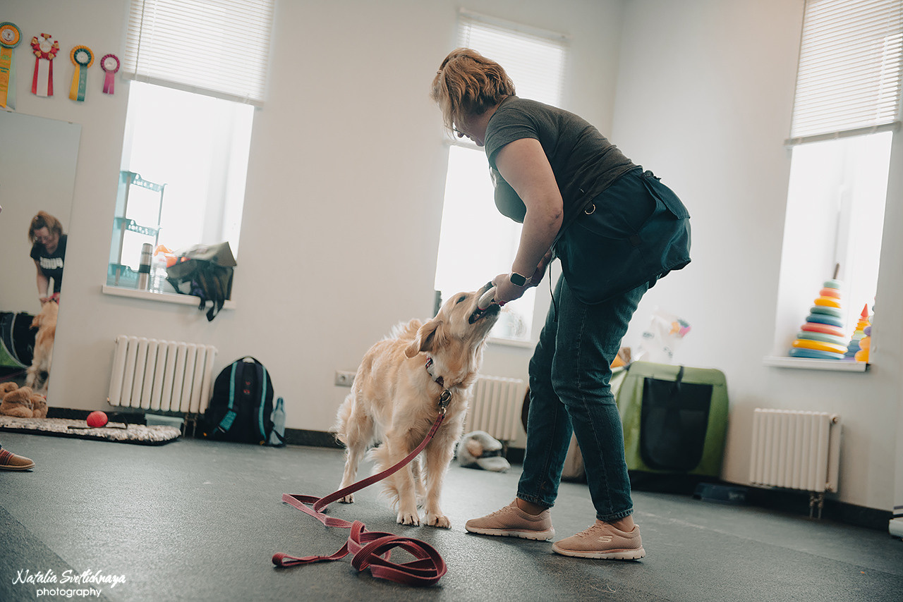 Семинар с Марией Рыбкиной «Игры с собаками» (24.02.2023). Фотограф-анималист Наталья Светличная