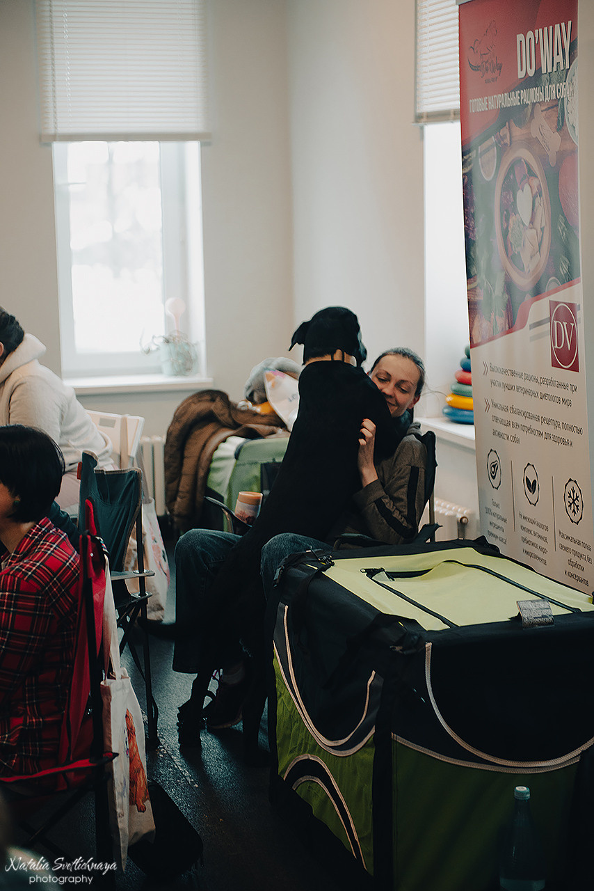 Семинар с Марией Рыбкиной «Игры с собаками» (24.02.2023). Фотограф-анималист Наталья Светличная