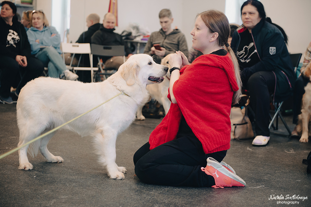 Семинар с Марией Рыбкиной «Игры с собаками» (24.02.2023). Фотограф-анималист Наталья Светличная