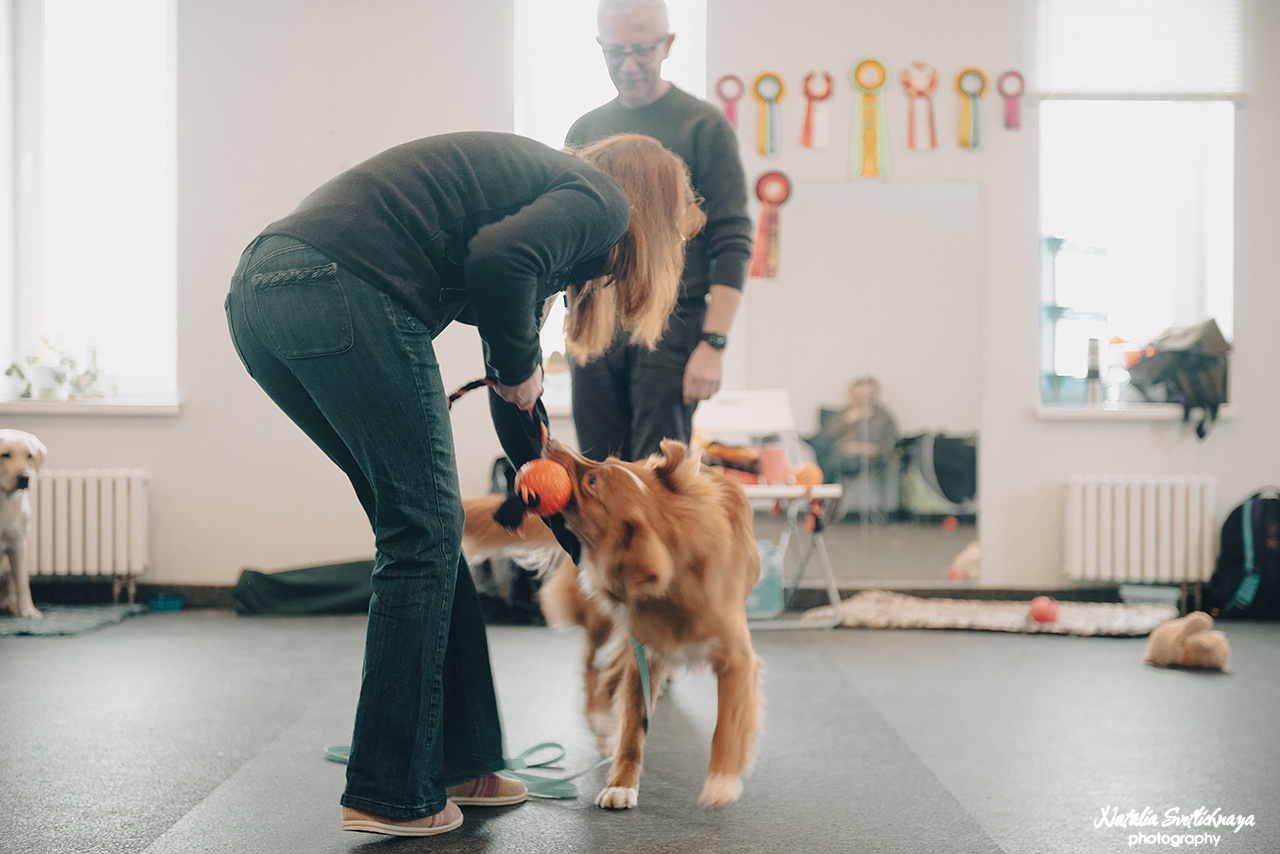 Семинар с Марией Рыбкиной «Игры с собаками» (24.02.2023). Фотограф-анималист Наталья Светличная