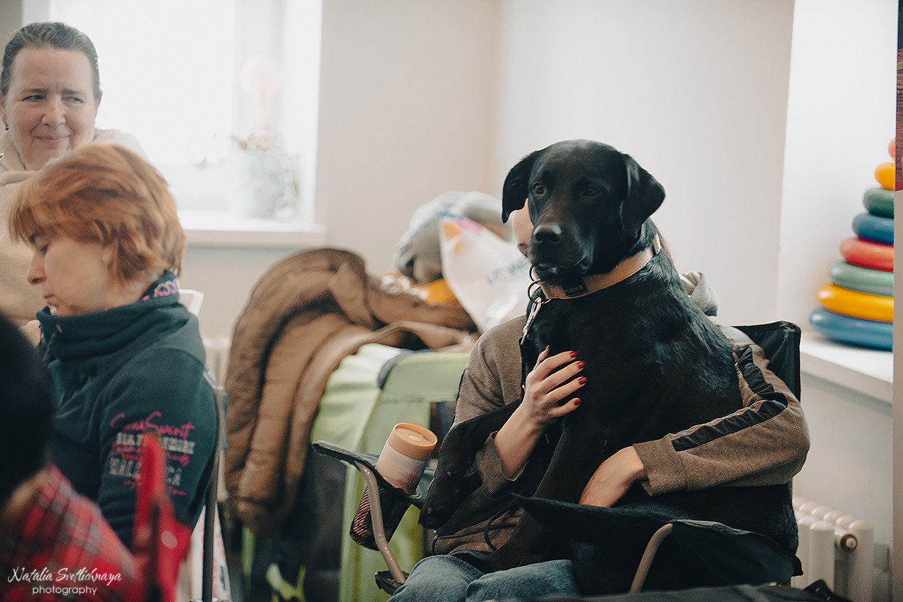 Семинар с Марией Рыбкиной «Игры с собаками» (24.02.2023). Фотограф-анималист Наталья Светличная