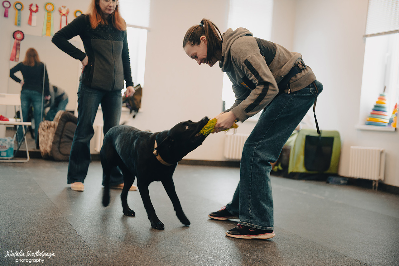 Семинар с Марией Рыбкиной «Игры с собаками» (24.02.2023). Фотограф-анималист Наталья Светличная