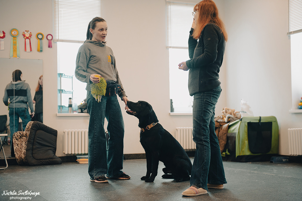 Семинар с Марией Рыбкиной «Игры с собаками» (24.02.2023). Фотограф-анималист Наталья Светличная