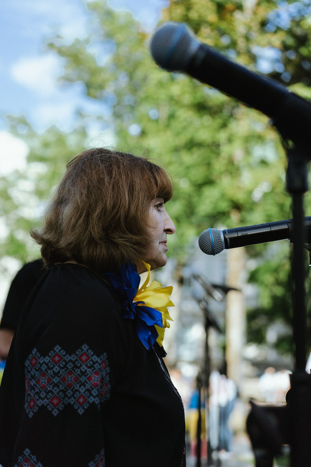 Ukraine — NATO. Photographer in Vilnius