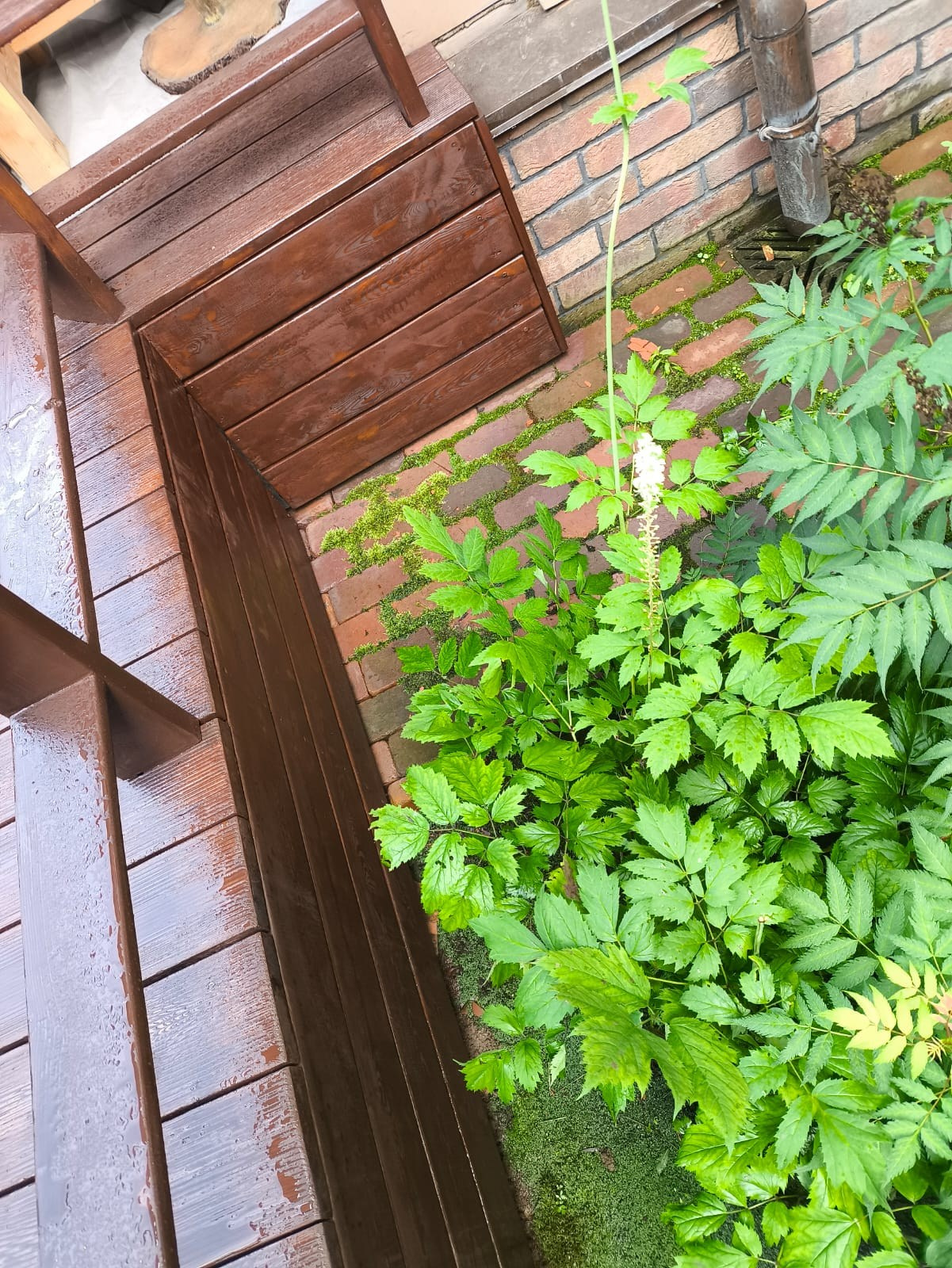 Объект МД-013 КП Графские пруды (полный ремонт террасы). Строительная компания «Милый дом» МД. Москва и Московская область