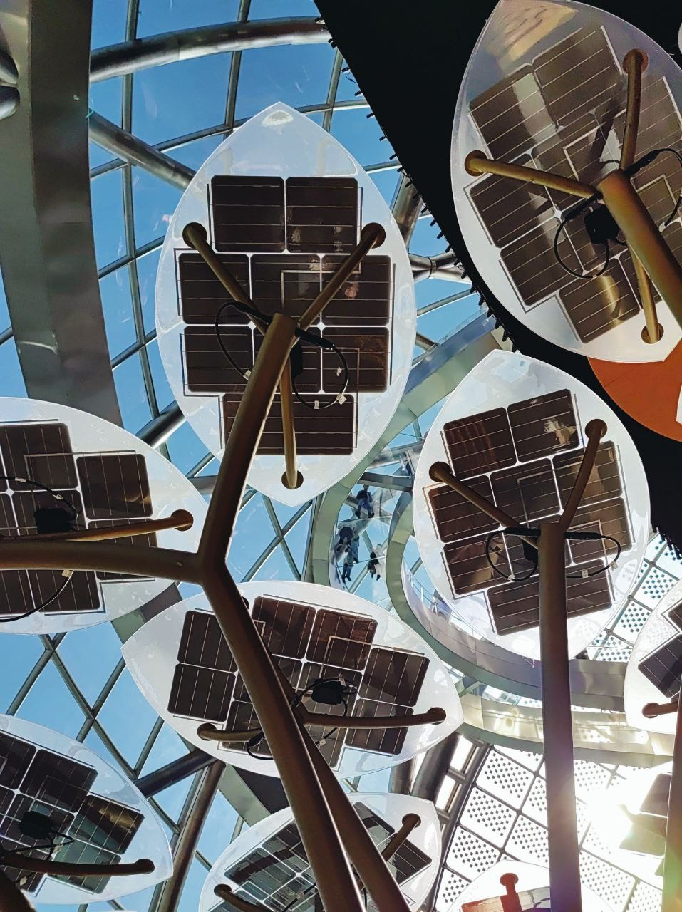 Намобилкус казахский. Репортажный фотограф Алексей Пирязев