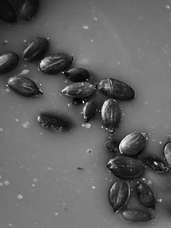 Mindful eating / Осознанное питание. Художник Катерина Копейкина / Artist Katerina Kopeikina