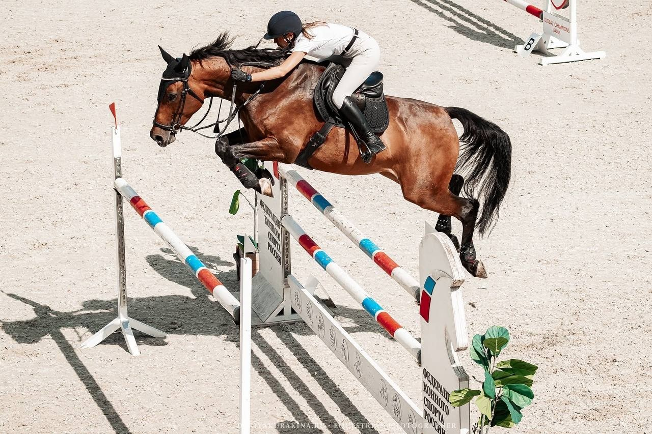 «КОМАНДНЫЙ ДРАЙВ», 3 этап — КСК «ВИВАТ, РОССИЯ!». Куракина Дарья • Конный фотограф