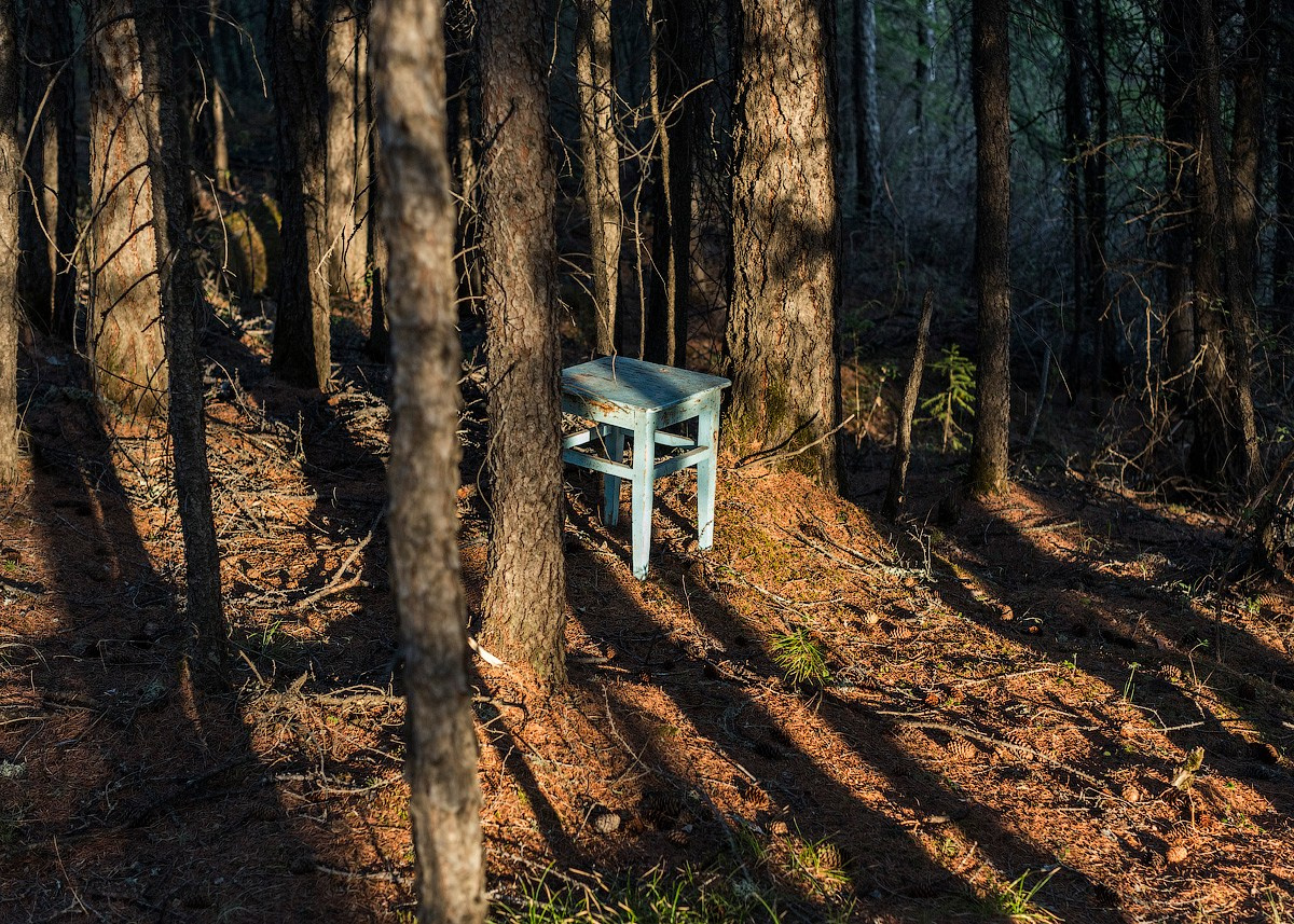 Атлас первого снега серия фотографий. Елена Аносова — художница и исследовательница, куратор и лектор