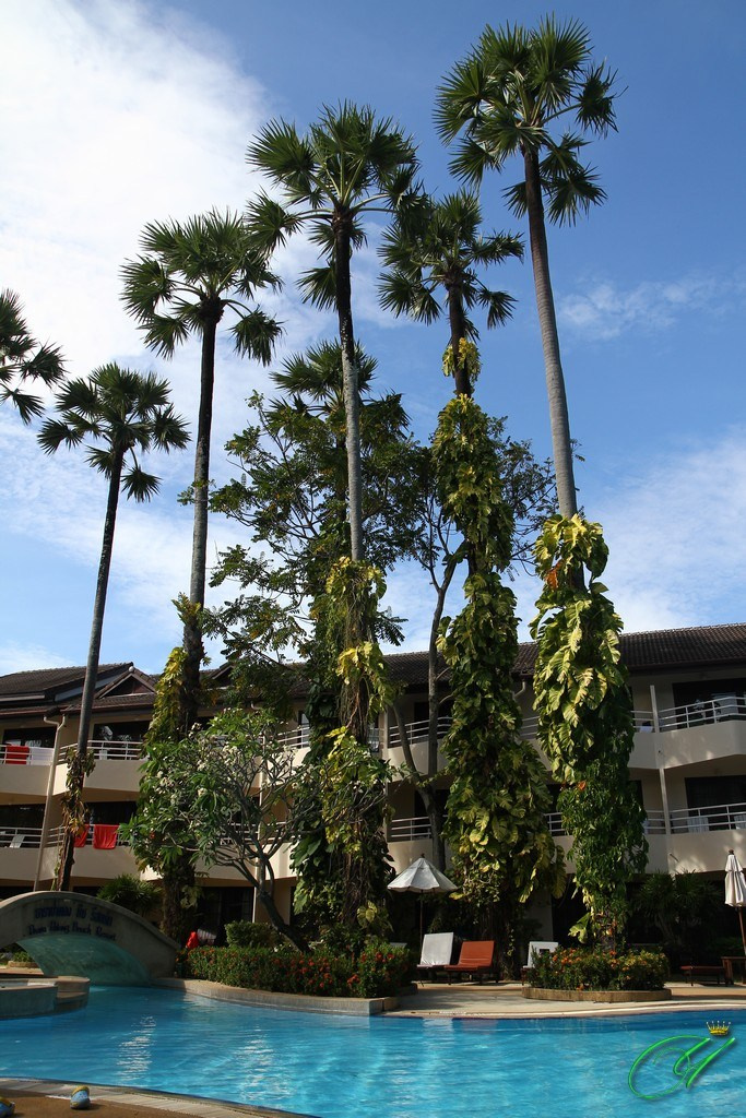 Тайланд. Пхукет 2013. Улица, люди, жизнь…