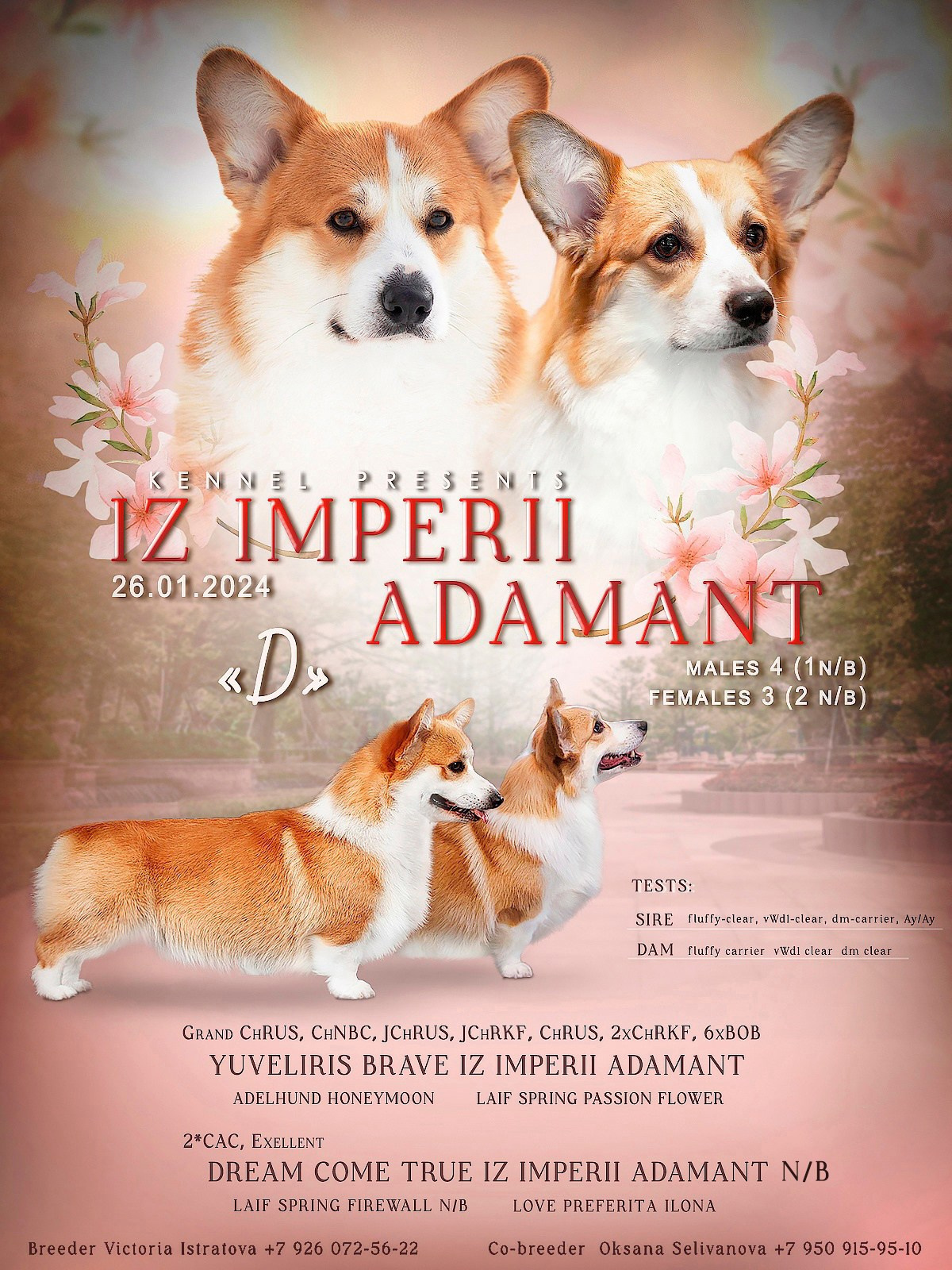 Презентации. Фотограф — анималист в Туле Юлия Лето