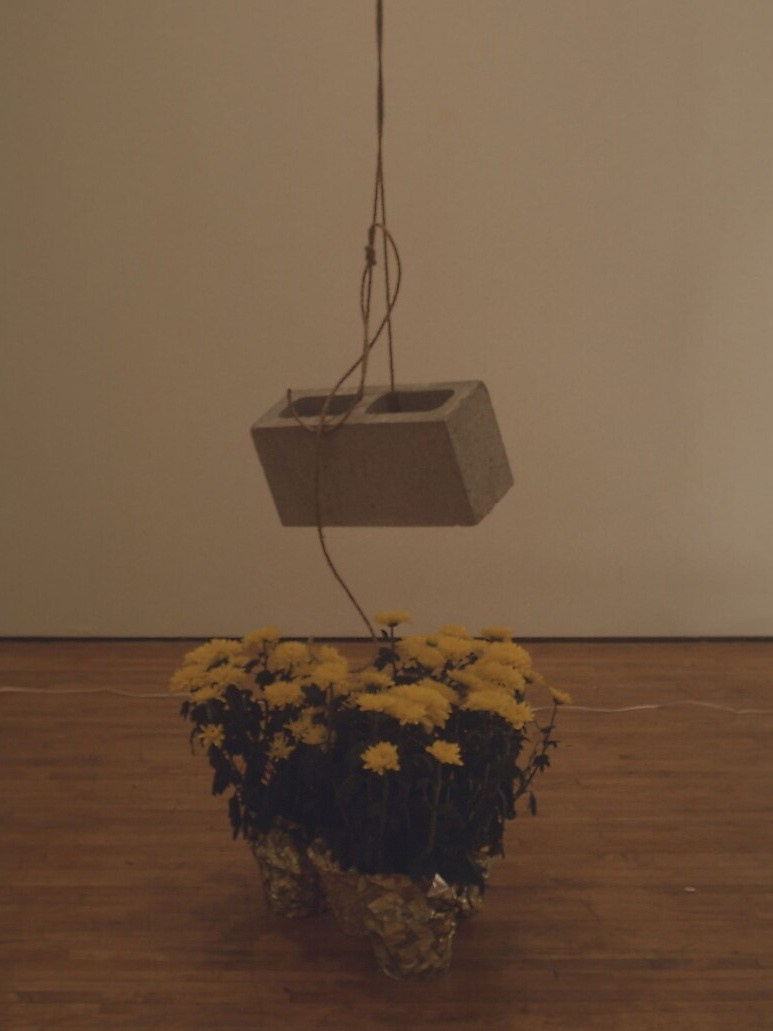 Художник Бас Ян Адер. Private image