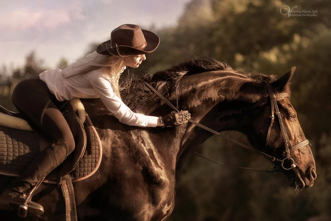 Девушка в ковбойской шляпе верхом на коне