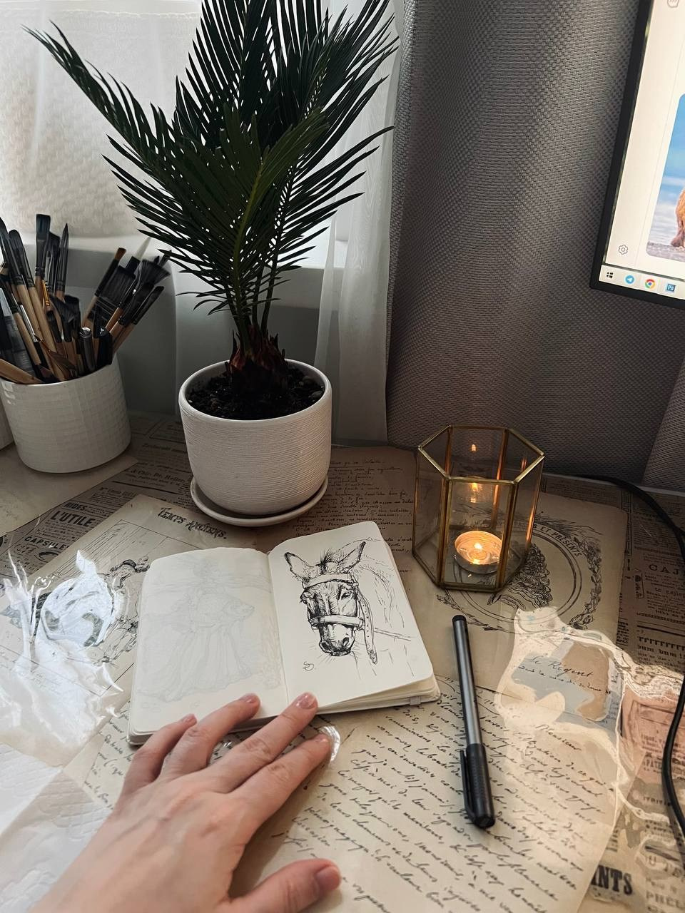 Иллюстрация. Иллюстратор, Фотограф, Теддист Ольга Сальманович