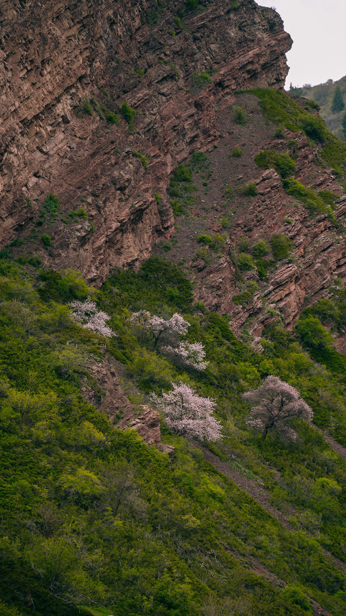 Кыргызстан. Человек с фотокамерой
