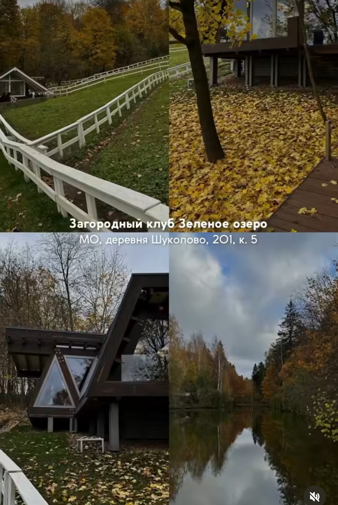 Для уличных фотосессий. Фотограф Александра Сыщенко