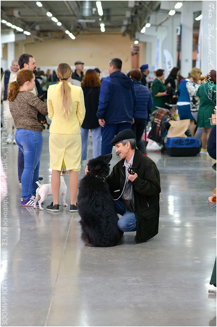 Репортаж. Фотограф анималист | семейный Юлия Вакуленко, г. Краснодар