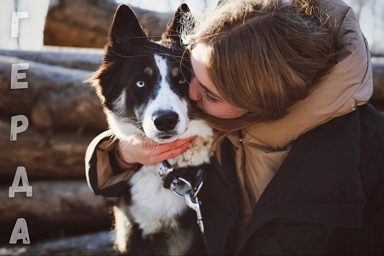 Четвероногий друг. V I KA P H O T O