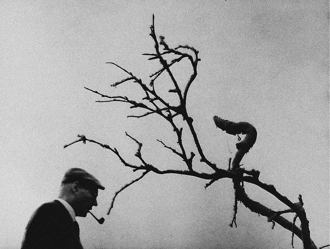 Среда 1. Свет и объект. …