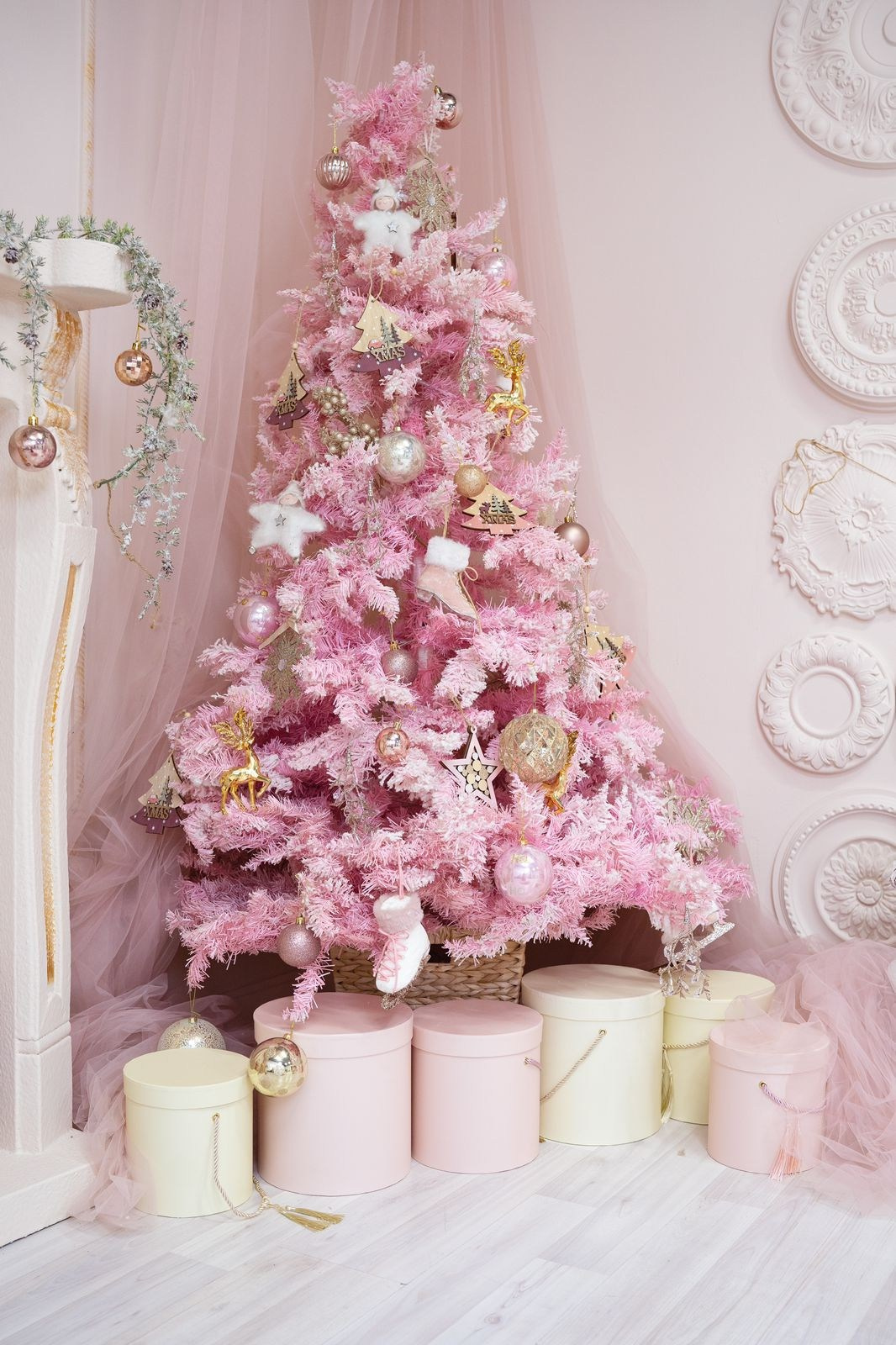 Зал Мамми студия. Фотограф в Алматы