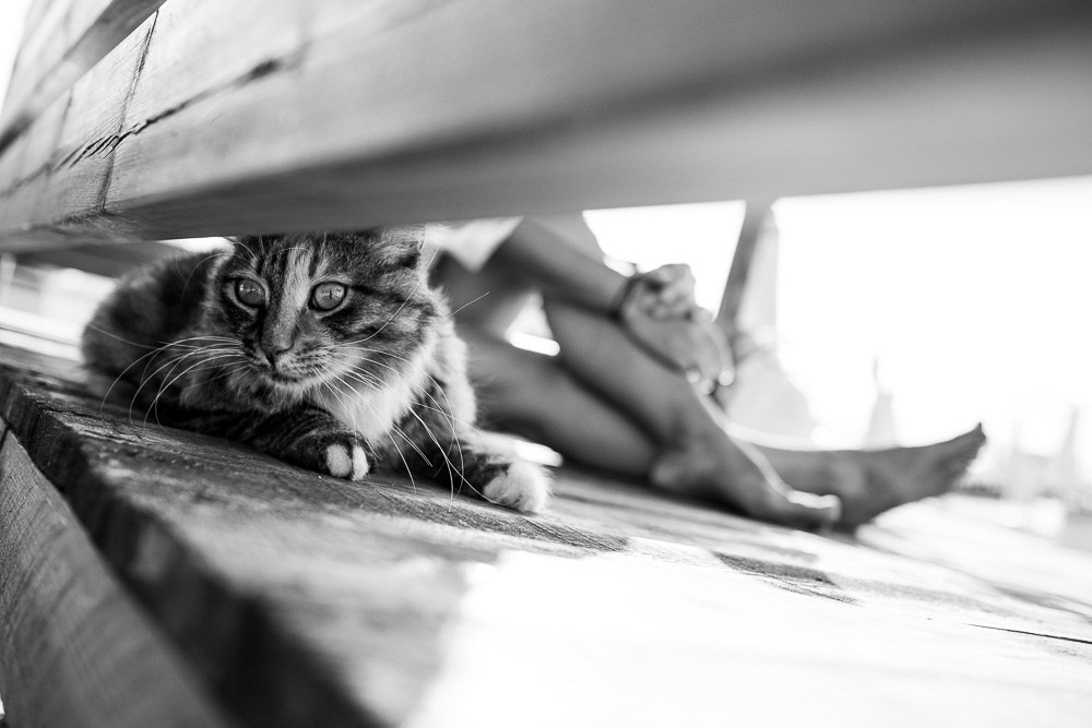 Anya. Photographer in Valencia | Spain | Tatiana Kvasha