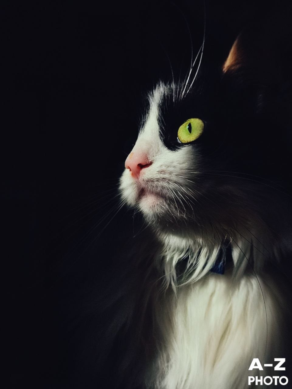 #ФОТОНЕДЕЛИ 23.03.2026. Женский семейный фотограф Тула Москва Захарова Анна