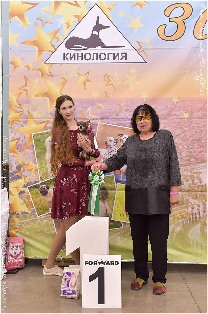 Репортаж. Фотограф анималист | семейный Юлия Вакуленко, г. Краснодар